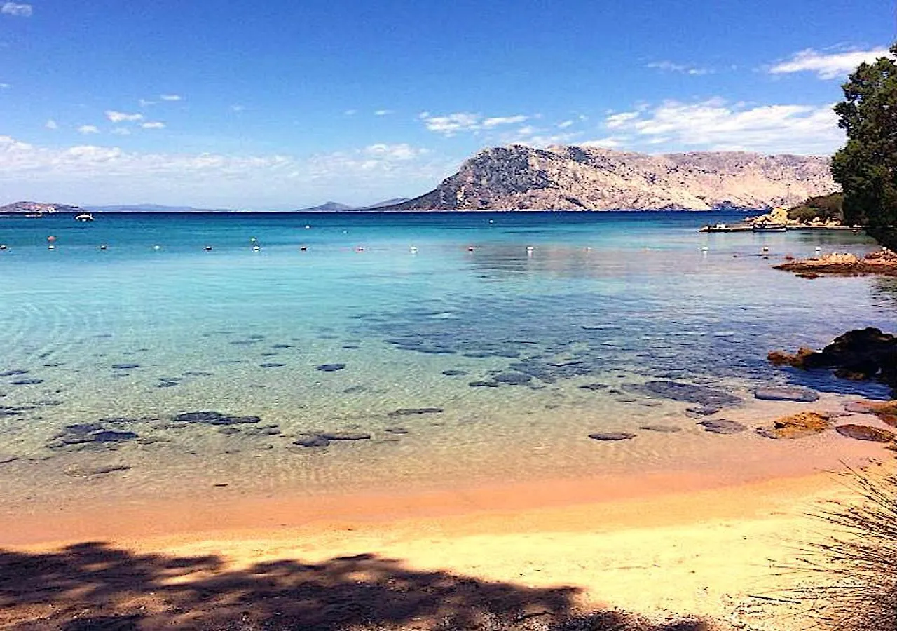 Appartement San Teodoro Punta Est Ampio Trilocale Vista Mare à Cap Coda Cavallo