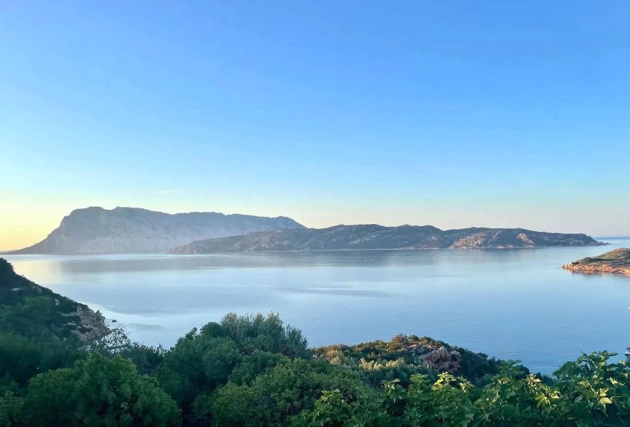 Appartement San Teodoro Punta Est Ampio Trilocale Vista Mare à Cap Coda Cavallo Italie