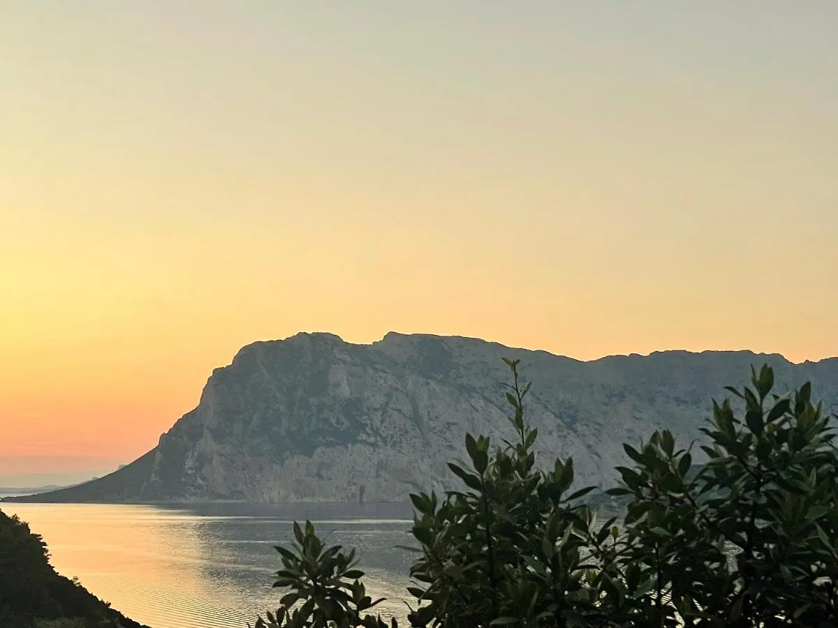 Appartement San Teodoro Punta Est Ampio Trilocale Vista Mare à Cap Coda Cavallo Italie