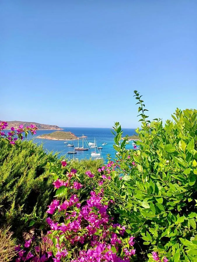 Appartement San Teodoro Punta Est Ampio Trilocale Vista Mare à Cap Coda Cavallo